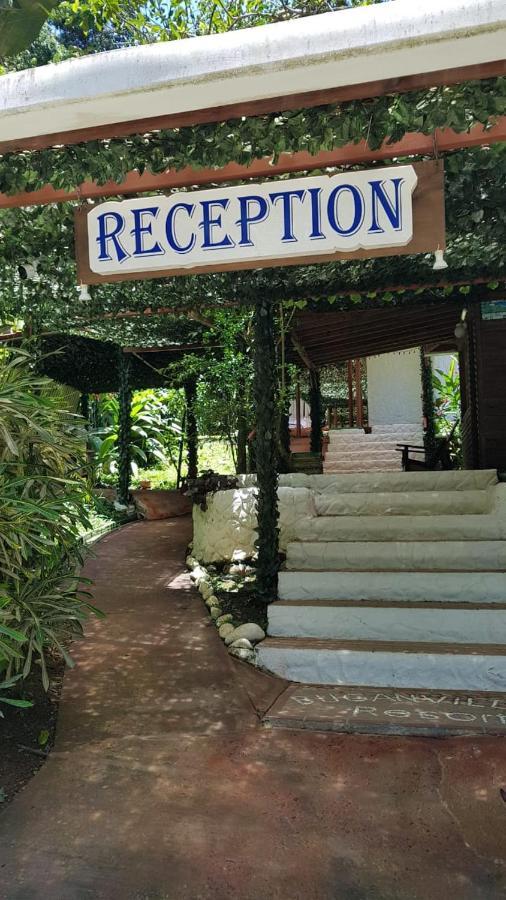 Hotel Bugabutik Puerto Viejo de Talamanca Luaran gambar